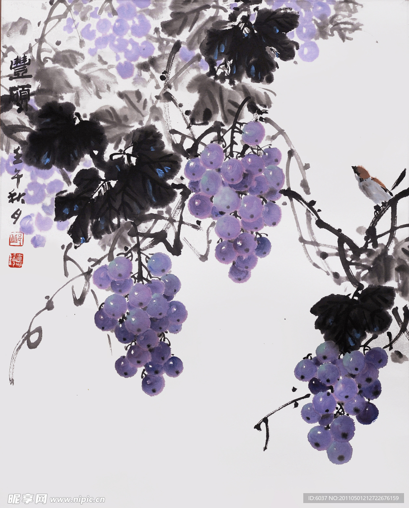 葡萄 邱德镜