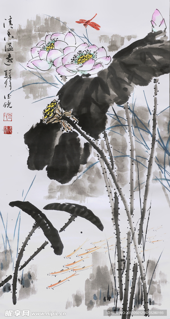荷花蜻蜓图 邱德镜