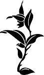 中国古典装饰纹样图片