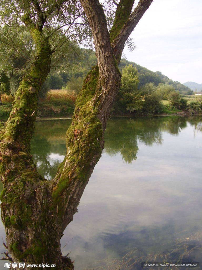 湖岸风光