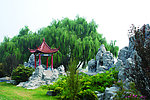 东营黄河生态公园