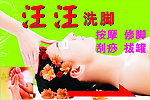 汪汪洗脚