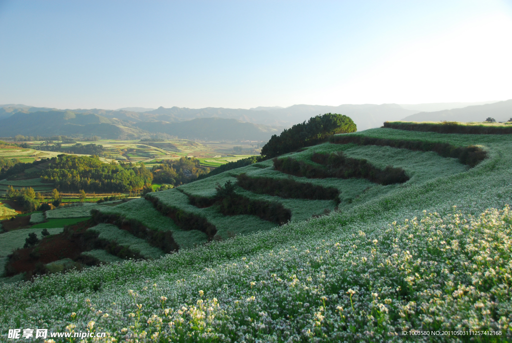层峦
