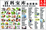 百科宝库