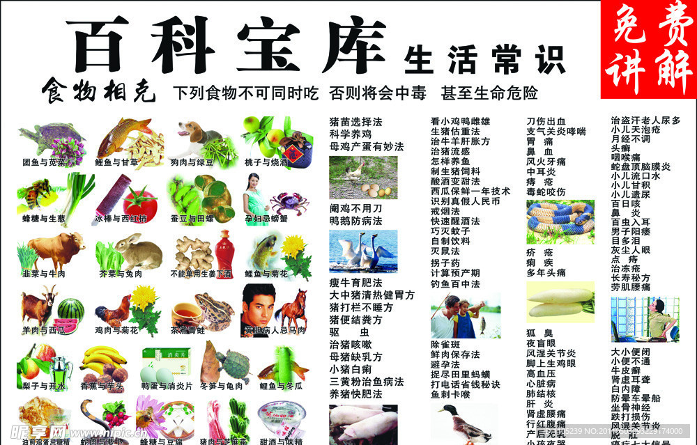百科宝库