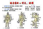健身酒 针灸 拔罐
