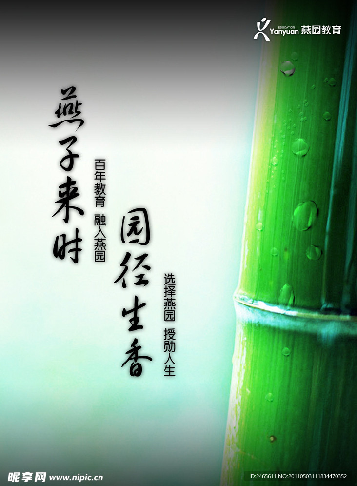 燕园窗帘 设计
