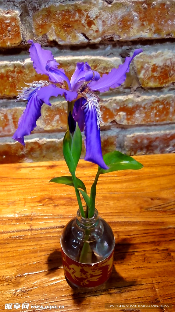 花卉