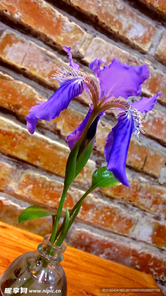 花卉