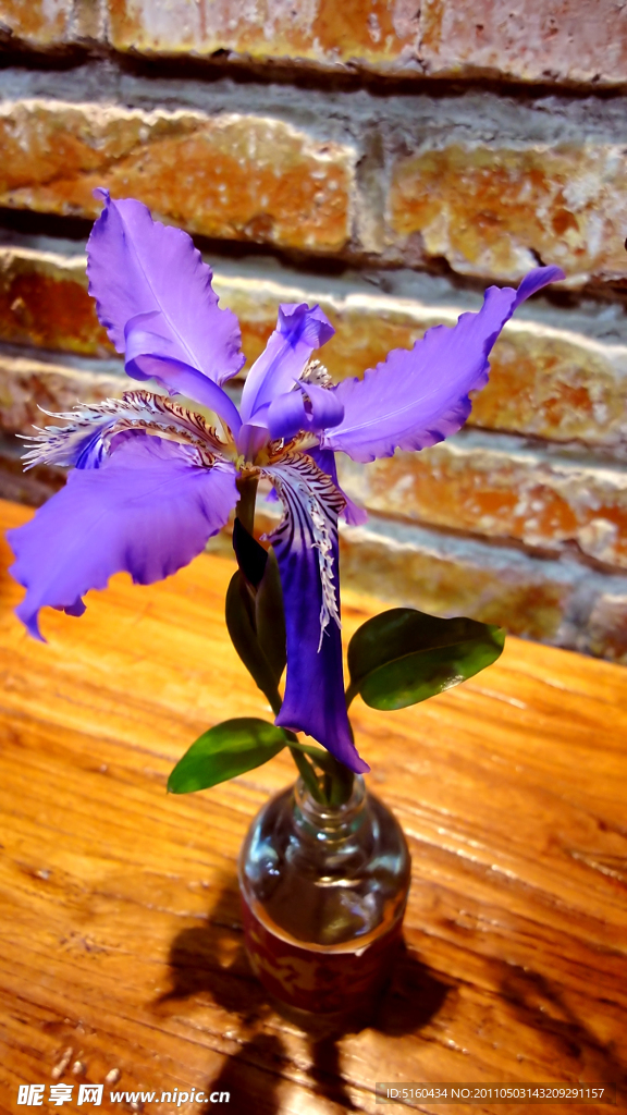 花卉