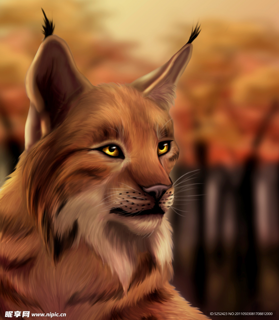 山猫