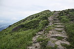 山路
