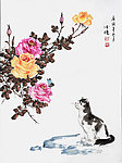 猫月季