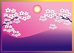 太阳高照 花朵