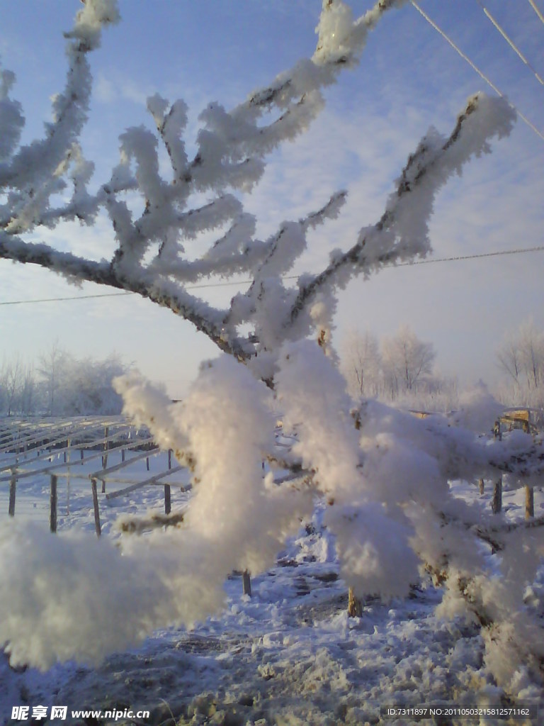 雪景