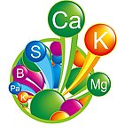 化学分子结构