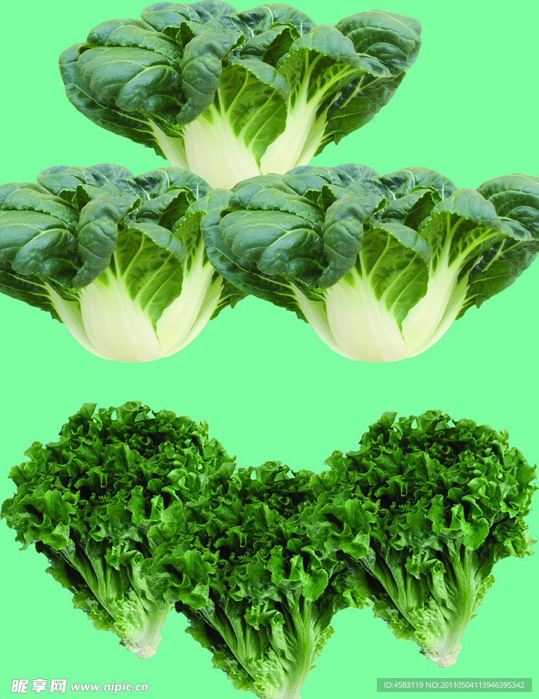 蔬菜