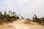 通往山间的小路