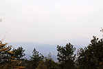 青山绿树
