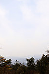 青山绿树