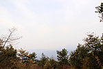 青山绿树