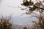 树青山房子