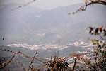 树青山房子