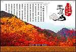王屋山画册