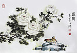 月季花 邱德镜