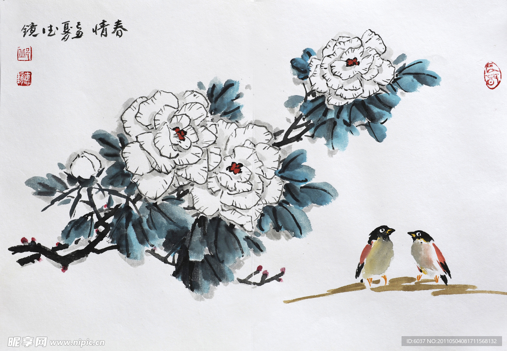 芙蓉花 邱德镜