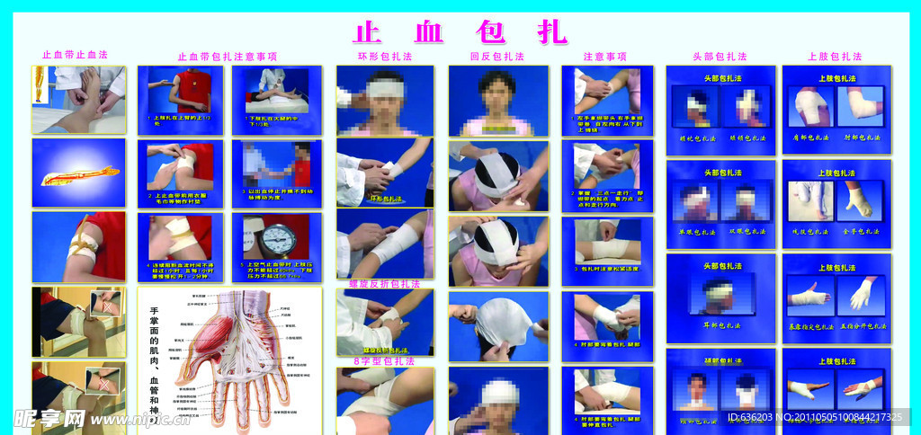 包扎知识展板
