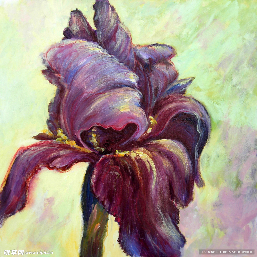 美人蕉 花卉油画