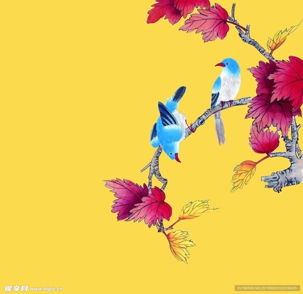 花鸟图