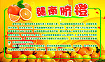 橙子