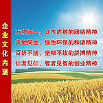 企业文化