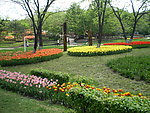 花园