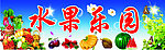 水果招牌