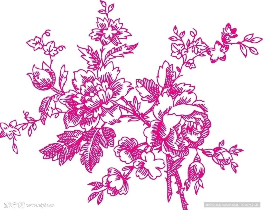 牡丹花