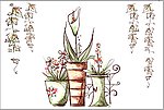 装饰花盆