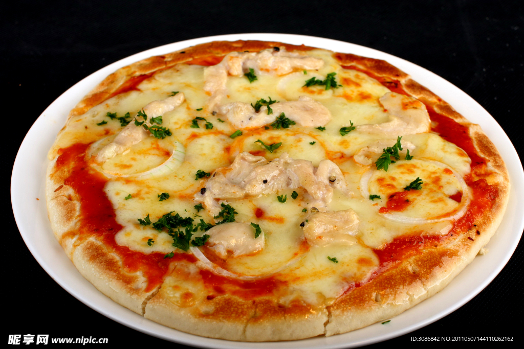 鸡肉PIZZA