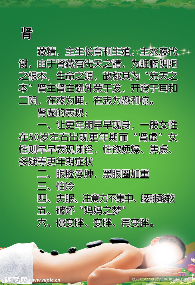 肾部保养