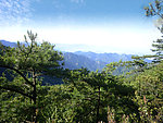 山景