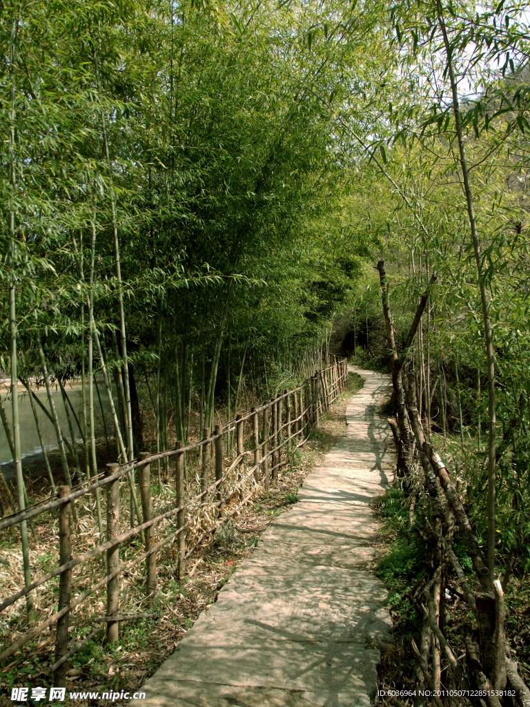 香水河美丽的风景