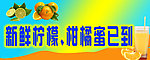 柠檬海报