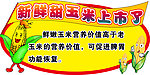 玉米吊牌
