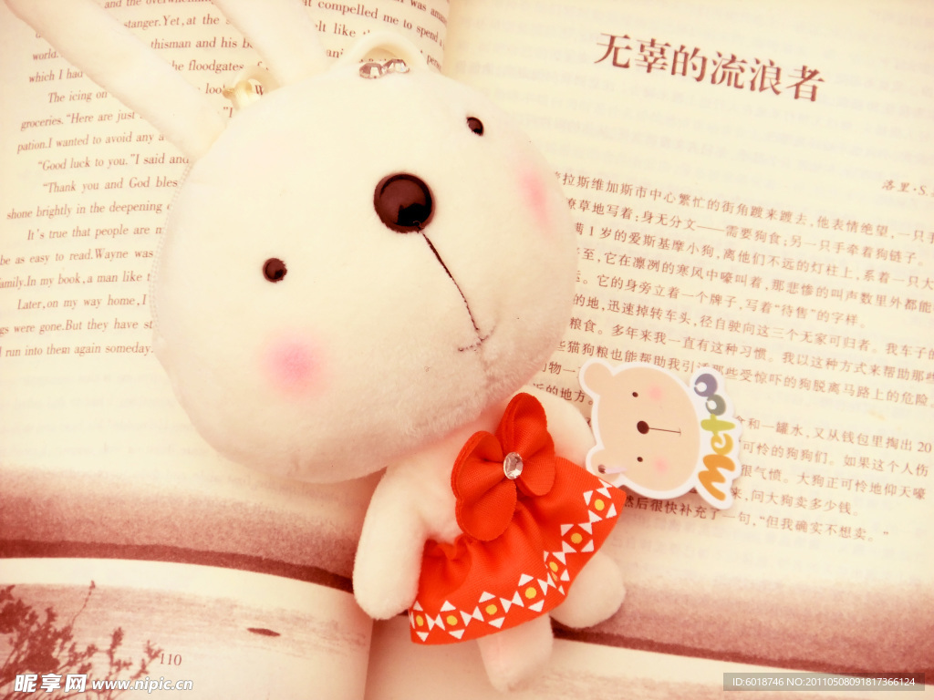 可爱白兔