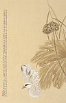 国画工笔花鸟