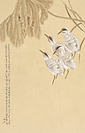 国画工笔花鸟