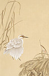国画工笔花鸟