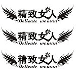 精致女人 字体设计